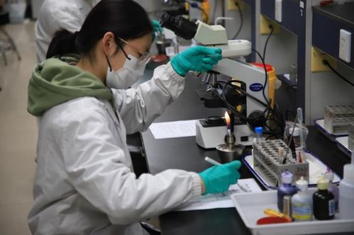 第九屆達承杯醫學檢驗技術專業本科生技能大賽圓滿落幕，技術研發成果顯著